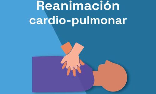 miniatura del curso