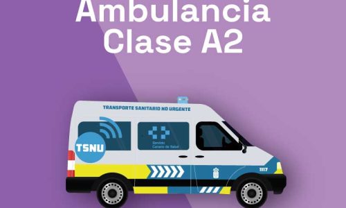 miniatura del curso