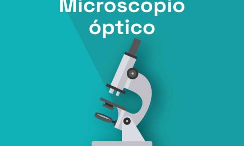 miniatura del curso