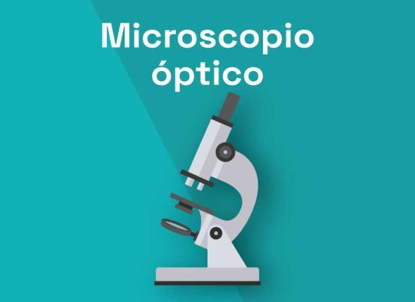 Microscopio óptico