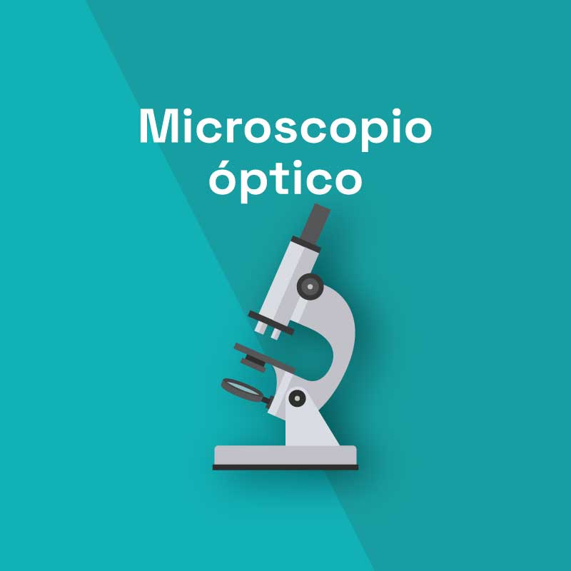Microscopio óptico