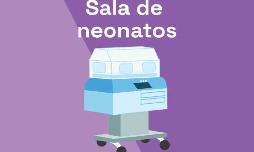 miniatura del curso