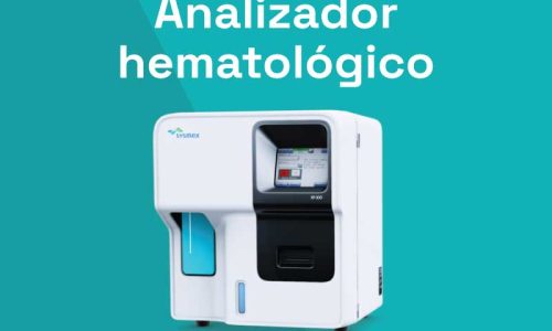 miniatura del curso