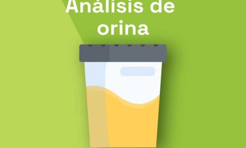 miniatura del curso