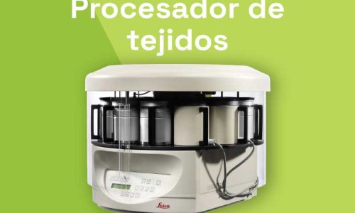 miniatura del curso