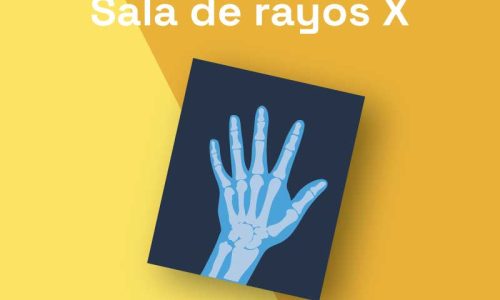 miniatura del curso