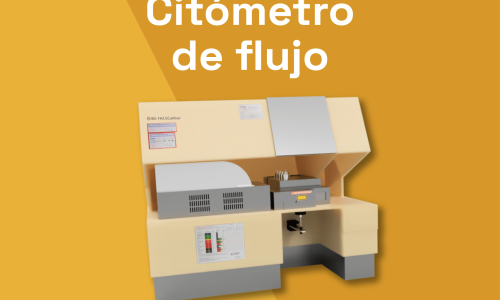 miniatura del curso