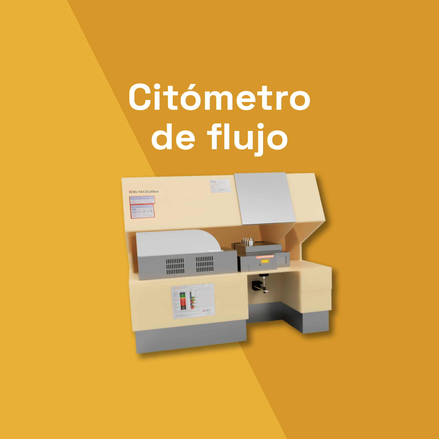 Simulador holográfico de un Citómetro de flujo