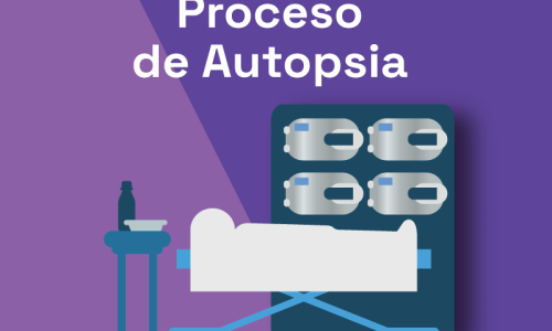 miniatura del curso