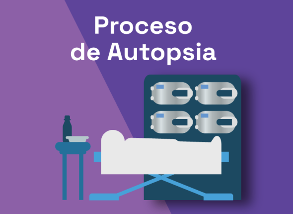 Proceso de autopsia y materiales