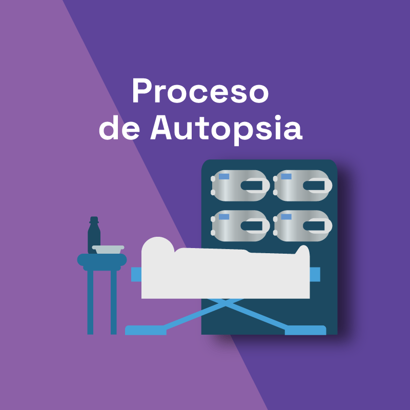 Proceso de autopsia y materiales