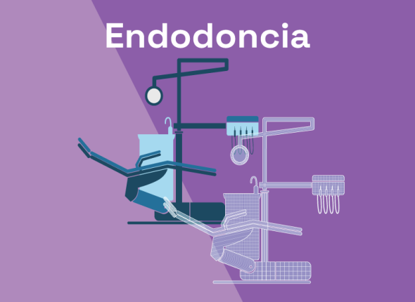 endodoncia