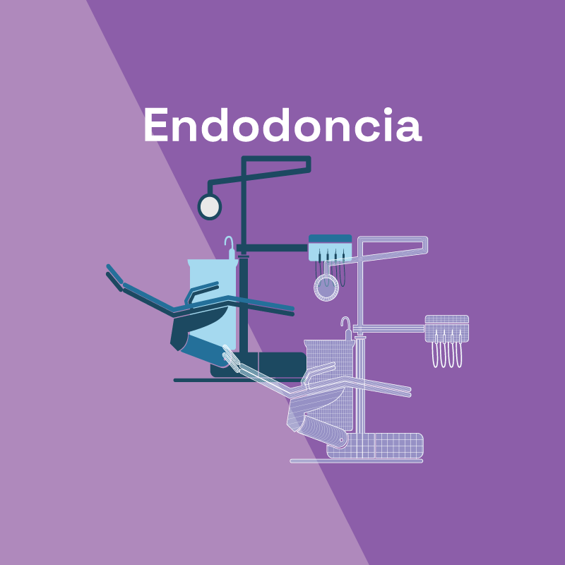 endodoncia