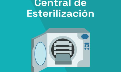 miniatura del curso