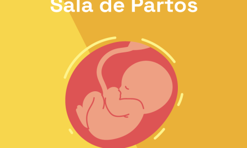 miniatura del curso