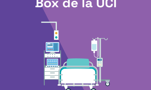 miniatura del curso