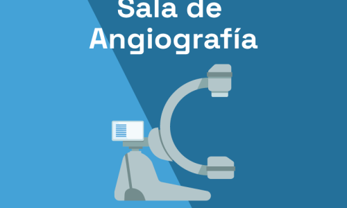 miniatura del curso