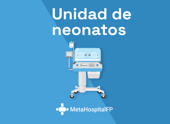Metahospital FP UT10: unidad de Neonatos