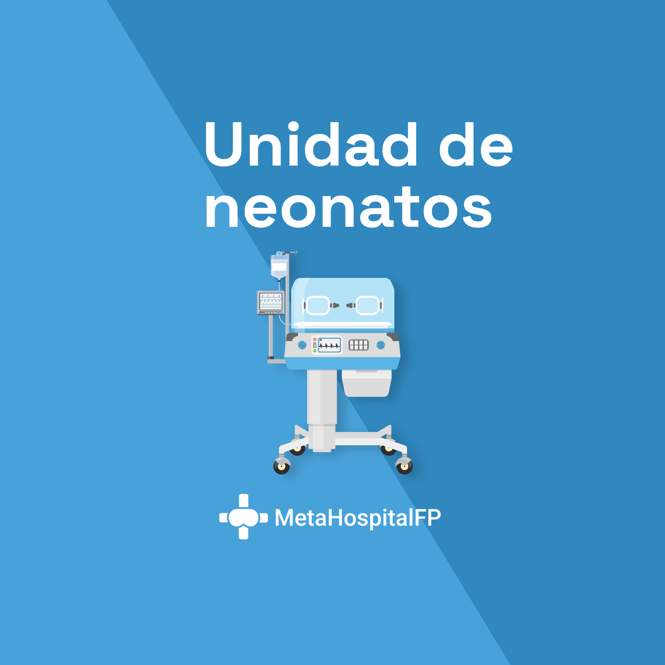 Metahospital FP UT10: unidad de Neonatos